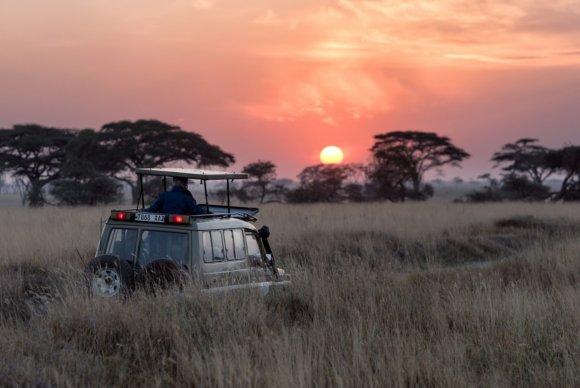 man riding on gray car during sunset safari trip